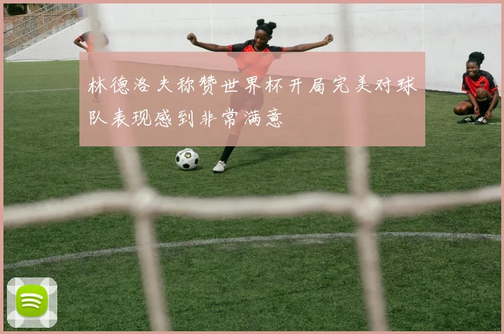 林德洛夫称赞世界杯开局完美对球队表现感到非常满意