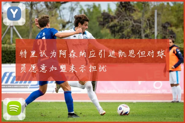 特里认为阿森纳应引进凯恩但对球员愿意加盟表示担忧